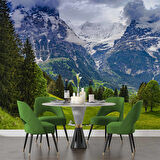 Karlı Dağ ve Yeşil Vadi Manzara Duvar Kağıdı