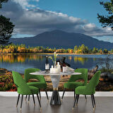 Göl ve Orman Manzara Duvar Kağıdı