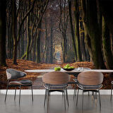 Orman Yolu Manzaralı Duvar Kağıdı