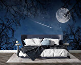 Gece, Ay ve Yıldız Gökyüzü Manzaralı Duvar Kağıdı