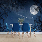 Gece, Ay ve Yıldız Gökyüzü Manzaralı Duvar Kağıdı