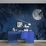 Gece, Ay ve Yıldız Gökyüzü Manzaralı Duvar Kağıdı