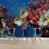 Akvaryum ve Deniz Manzaralı Duvar Kağıdı
