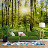 Doğa, Orman ve Ağaç Duvar Kağıdı