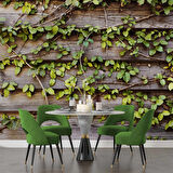 Sarmaşık Ahşap Duvar Kağıdı Baskı