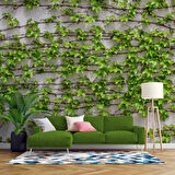 Sarmaşıklı Duvar Teması Duvar Kağıdı Baskı