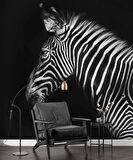 Zebra Temalı Duvar Kağıdı Baskı