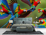 Renkli Papağanlar Duvar Kağıdı Baskı