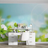 Doğal Papatya Temalı Duvar Kağıdı