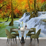 Orman ve Şelale Manzaralı Duvar Kağıdı