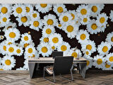 Papatya Temalı Duvar Kağıdı Baskı