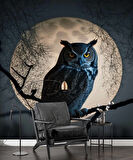 Baykuş ve Ay Temalı Duvar Kağıdı Baskı