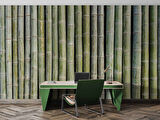 3 Boyutlu Bambu Duvar Temalı Duvar Kağıdı