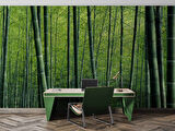 Bambu Ormanı Manzaralı Duvar Kağıdı