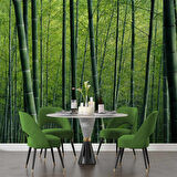 Bambu Ormanı Manzaralı Duvar Kağıdı