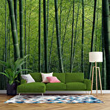 Bambu Ormanı Manzaralı Duvar Kağıdı