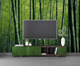 Bambu Ormanı Manzaralı Duvar Kağıdı
