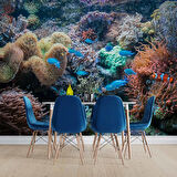 3 Boyutlu Akvaryum Temalı Duvar Kağıdı