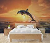 Gün Batımı ve Yunus Balığı Temalı Duvar Kağıdı