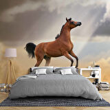 At Temalı Duvar Kağıdı