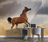 At Temalı Duvar Kağıdı