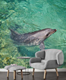 Deniz ve Yunus Balığı Temalı Duvar Kağıdı