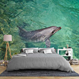 Deniz ve Yunus Balığı Temalı Duvar Kağıdı