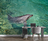 Deniz ve Yunus Balığı Temalı Duvar Kağıdı