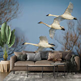 Leylek Göç Manzaralı Duvar Kağıdı