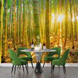 Bambu Ormanı Temalı Duvar Kağıdı