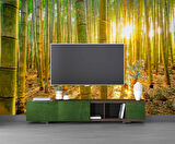 Bambu Ormanı Temalı Duvar Kağıdı