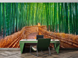 Bambu Ormanı Manzaralı Duvar Kağıdı