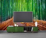 Bambu Ormanı Manzaralı Duvar Kağıdı