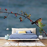 Gökyüzü ve Kuş Manzaralı Duvar Kağıdı