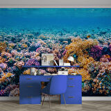 Akvaryum Mercan Manzaralı Duvar Kağıdı