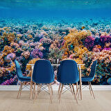 Akvaryum Mercan Manzaralı Duvar Kağıdı