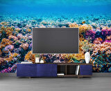Akvaryum Mercan Manzaralı Duvar Kağıdı