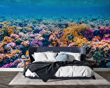 Akvaryum Mercan Manzaralı Duvar Kağıdı