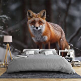 Kar ve Tilki Manzaralı Duvar Kağıdı