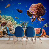 Denizaltı Balık ve Kaplumbağ Manzaralı Duvar Kağıdı