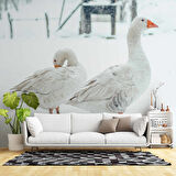 Kar ve Kaz Manzaralı Duvar Kağıdı