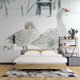 Kar ve Kaz Manzaralı Duvar Kağıdı