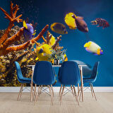 Denizaltı Sarı Japon Balığı Manzaralı Duvar Kağıdı