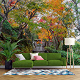 Orman ve Patika Yol Manzaralı Duvar Kağıdı