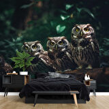 Orman ve Baykuş Manzaralı Duvar Kağıdı