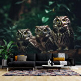 Orman ve Baykuş Manzaralı Duvar Kağıdı