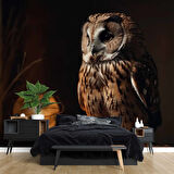 Gece ve Baykuş Manzaralı Duvar Kağıdı