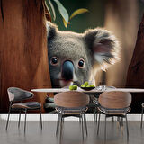 Koala Temalı Duvar Kağıdı