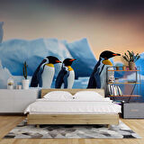 Kutuplar ve Penguen Manzaralı Duvar Kağıdı