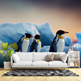 Kutuplar ve Penguen Manzaralı Duvar Kağıdı